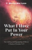 What I Have Put in Your Power (eBook, ePUB) What I Have Put in Your Power (eBook, ePUB)