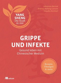 Grippe und Infekte (Yang Sheng 4) - Bernot, Johannes;Hellwig, Andrea;Nichterl, Claudia