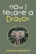 How I Became a Dragon (eBook, ePUB) - Bild 1