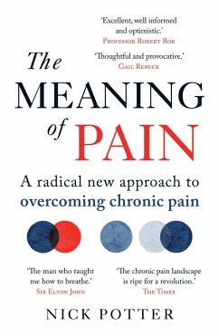 Cover The Meaning of Pain (eBook, ePUB)