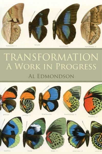 Transformation a Work in Progress (eBook, ePUB) Transformation a Work in Progress (eBook, ePUB)