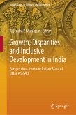 Growth, Disparities and Inclusive Development in India (eBook, PDF)