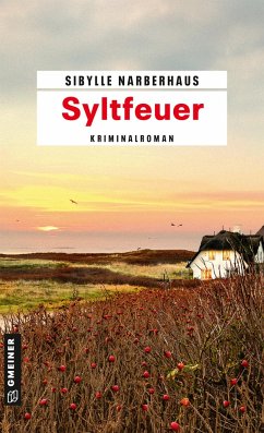 Syltfeuer / Anna Bergmann Bd.3 - Narberhaus, Sibylle