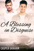 Blessing in Disguise (eBook, ePUB)