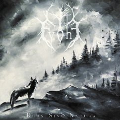 Deus Sive Natura - Evohe