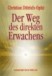 Der Weg des direkten Erwachens (eBook,... - Bild 1