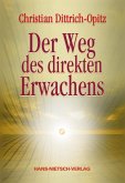 Der Weg des direkten Erwachens (eBook, PDF)