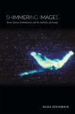 Shimmering Images (eBook, PDF) Shimmering Images (eBook, PDF)