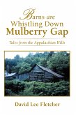 Barns Are Whistling Down Mulberry Gap (eBook, ePUB)