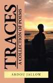 Traces (eBook, ePUB)
