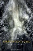 Amplifications (eBook, PDF)