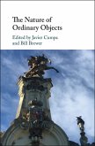 Nature of Ordinary Objects (eBook, ePUB)