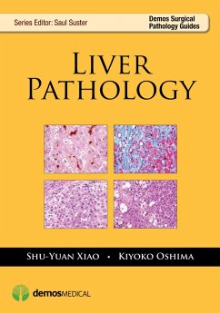 Cover Liver Pathology (eBook, ePUB)