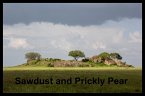 Sawdust and Prickly Pear (The Jack Riordan Stories, #2) (eBook, ePUB)