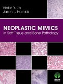 Neoplastic Mimics in Soft Tissue and Bone Pathology (eBook, ePUB)