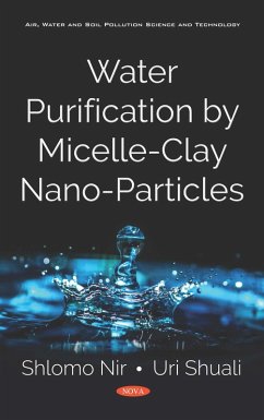 Cover Water Purification by Micelle-Clay Nano-Particles (eBook, PDF)