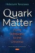 Quark Matter: From Subquarks to the... - Bild 1
