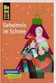 Die drei !!!: Geheimnis im Schnee