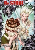 Dr. Stone Bd.4