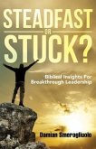 Steadfast Or Stuck? (eBook, ePUB)
