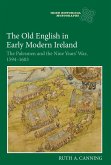 The Old English in Early Modern Ireland (eBook, PDF)