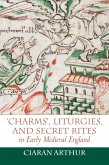 'Charms', Liturgies, and Secret Rites in Early Medieval England (eBook, PDF)