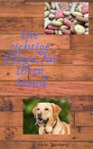 Die richtige Pflege für Ihren Hund (eBook, ePUB)
