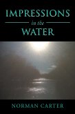 Impressions in the Water (eBook, ePUB)