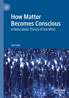 How Matter Becomes Conscious (eBook, PDF) - Faye, Jan