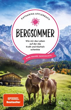 Bergsommer / Sehnsuchtsorte Bd.8 (eBook, ePUB) - Afflerbach, Katharina