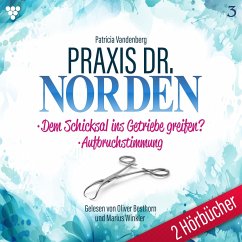 Praxis Dr. Norden 2 Hörbücher Nr. 3 - Arztroman (MP3-Download) - Vandenberg, Patricia
