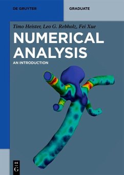 Numerical Analysis (eBook, ePUB) - Heister, Timo; Rebholz, Leo G.; Xue, Fei