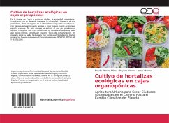 Cultivo de hortalizas ecológicas en cajas organopónicas - Vitorino Flórez, Braulio;Vitorino, Dayana;Vitorino, Joyce