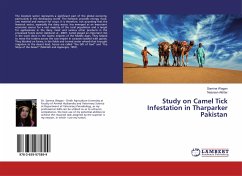 Study on Camel Tick Infestation in Tharparker Pakistan