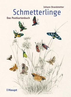 Schmetterlinge - Das Postkartenbuch - Brandstetter, Johann