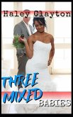 Three Mixed Babies: A Bwwm Billionaire Baby Romance.