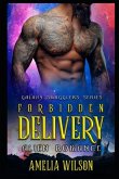Forbidden Delivery: Alien Romance