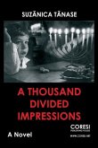 A Thousand Divided Impressions