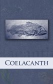 Coelacanth 2019