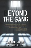 Beyond the Gang