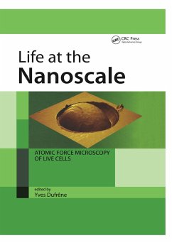 Life at the Nanoscale (eBook, ePUB)