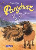 Ponyherz im Sturm / Ponyherz Bd.14 (eBook, ePUB)