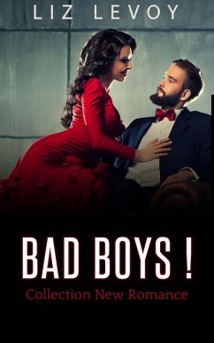 Bad Boys! (eBook, ePUB) - Levoy, Liz