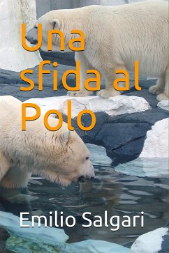 Cover Una sfida al Polo (eBook, ePUB)