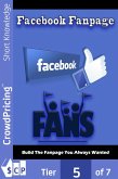 Facebook Fanpage (eBook, ePUB)