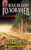 Большой лес. Возвращение (eBook, ePUB)