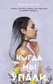 Братья Карилло. Когда мы упали (eBook, ePUB)