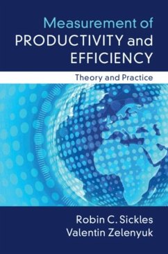 Measurement of Productivity and Efficiency (eBook, PDF) - Sickles, Robin C.