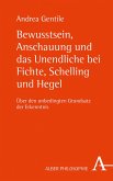Bewusstsein, Anschauung und das Unendliche bei Fichte, Schelling und Hegel (eBook, PDF)