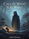 Call It What You Want (eBook, ePUB)